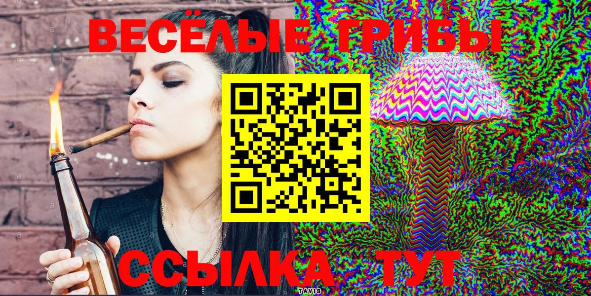 хочу   Вход с VPN  Кимовск  Псилоцибиновые грибы Psilocybine cubensis 