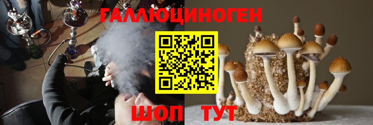 Псилоцибиновые грибы Psilocybe Кимовск